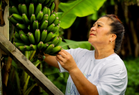 Changes to your situation